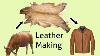 How Hides Are Converted Into Leather Leather Making Process