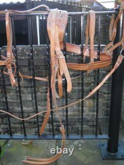 Vintage Complete English Leather Tan Donkey /Small Pony Driving Harness Bridle