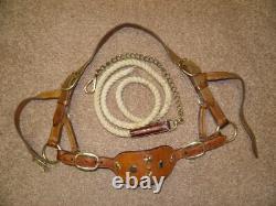 Vintage Tan Leather & Brass Bull Show Halter With Decorated Nose & Lead Rope