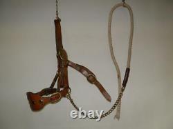 Vintage Tan Leather & Brass Bull Show Halter With Decorated Nose & Lead Rope